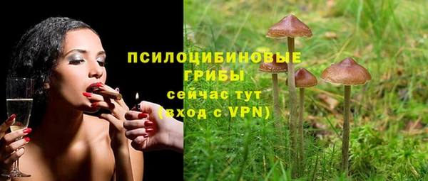 а пвп мука Дмитровск